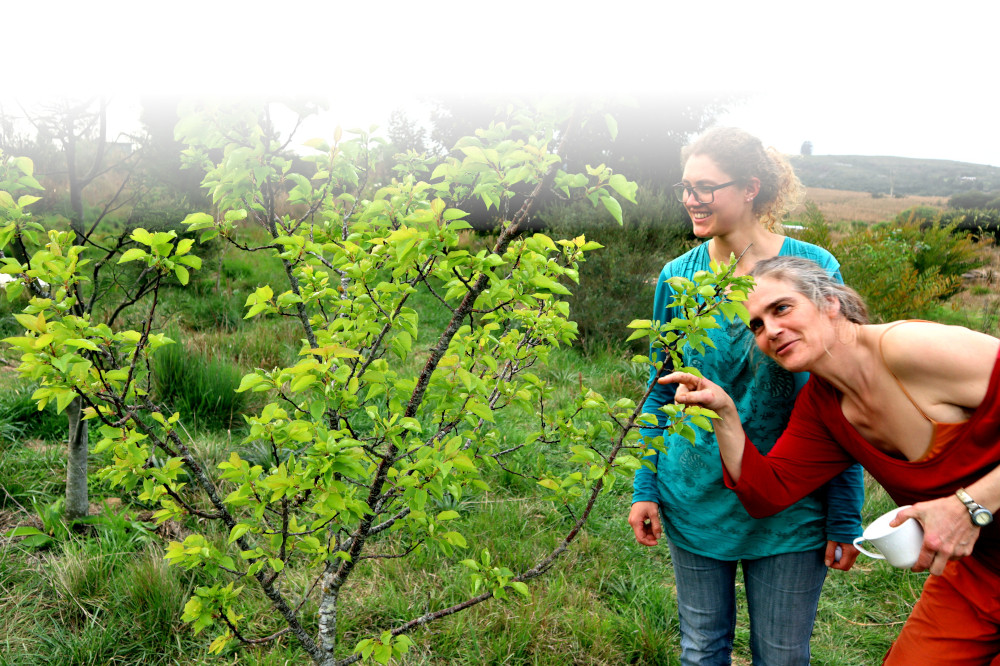 permaculture